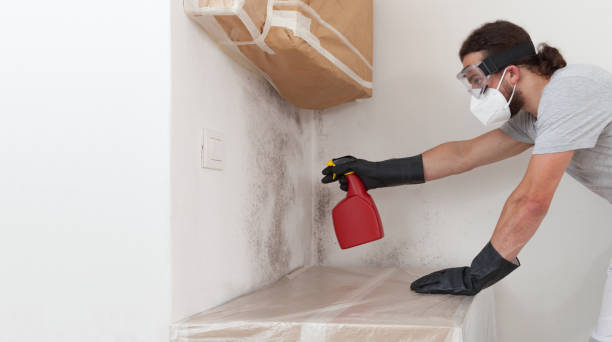 Professional Bathroom Mold Removal technician working in Burkesville, KY
